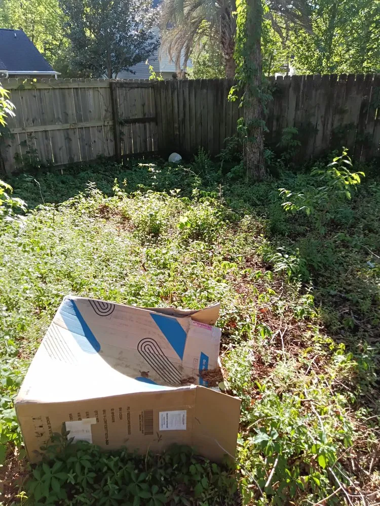 Custom yard maintenance for year-round maintenance across Summerville, SC - Ivan & Sons