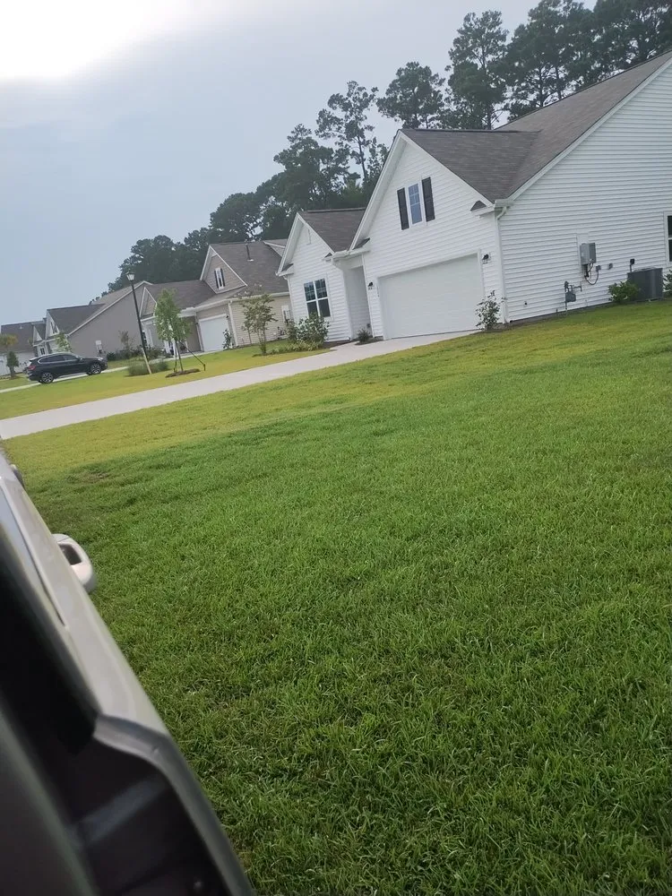 Professional landscape design in Summerville, SC by Ivan & Sons