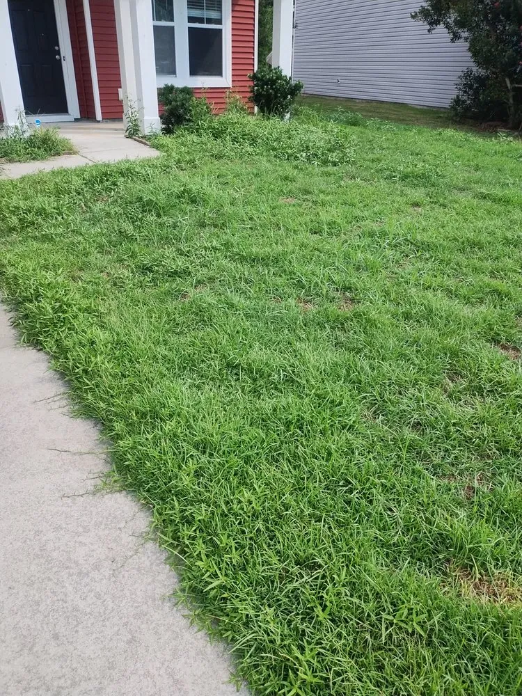 Top-rated residential landscaping in Summerville, SC - Ivan & Sons