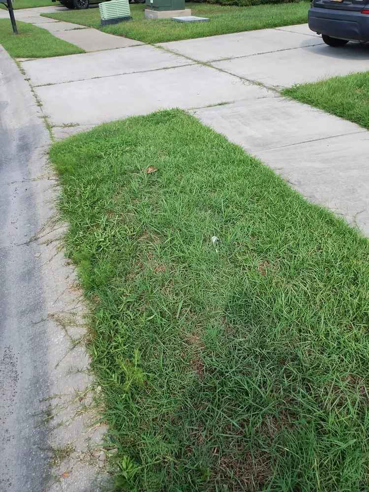 Trusted landscape design for homes across Summerville, SC - Ivan & Sons