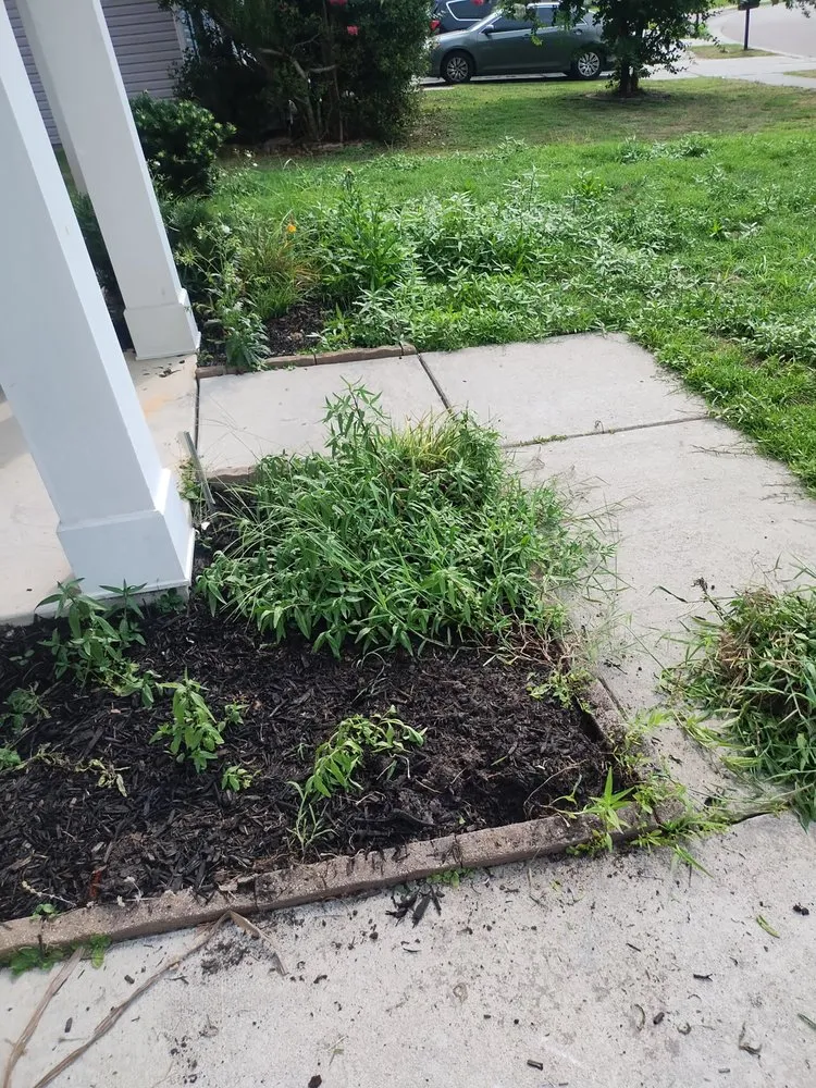 Local outdoor landscaping in Summerville, SC - Ivan & Sons