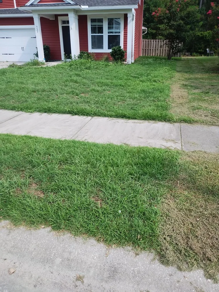 Affordable yard cleanup service for beautiful yards in Summerville, SC by Ivan & Sons