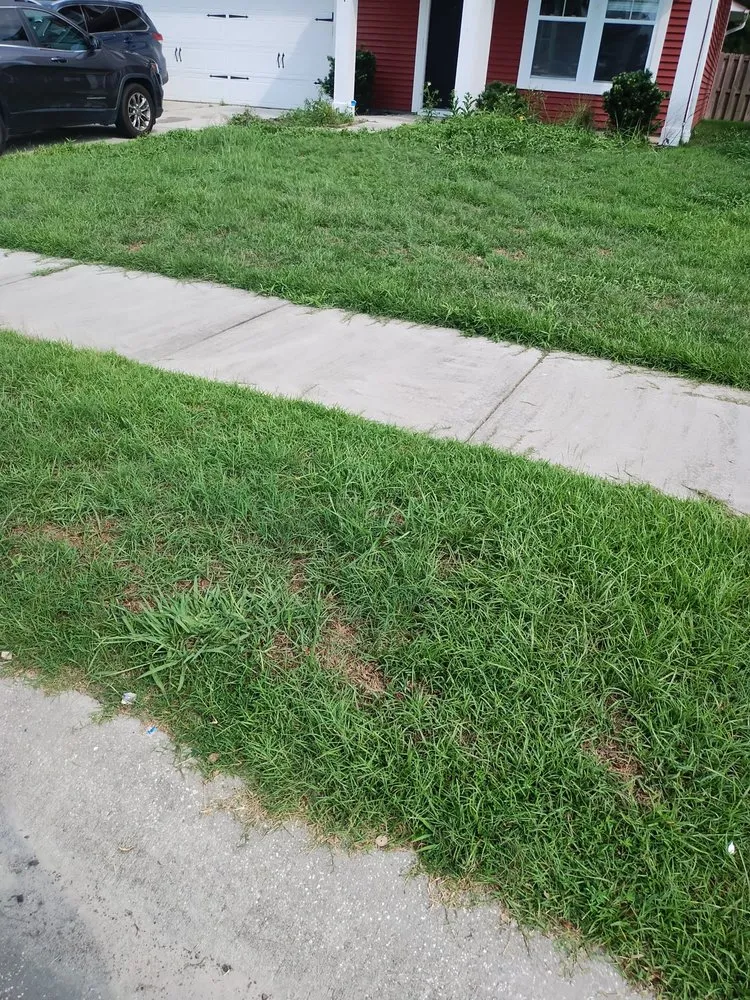 Top-rated garden landscaping in Summerville, SC by Ivan & Sons