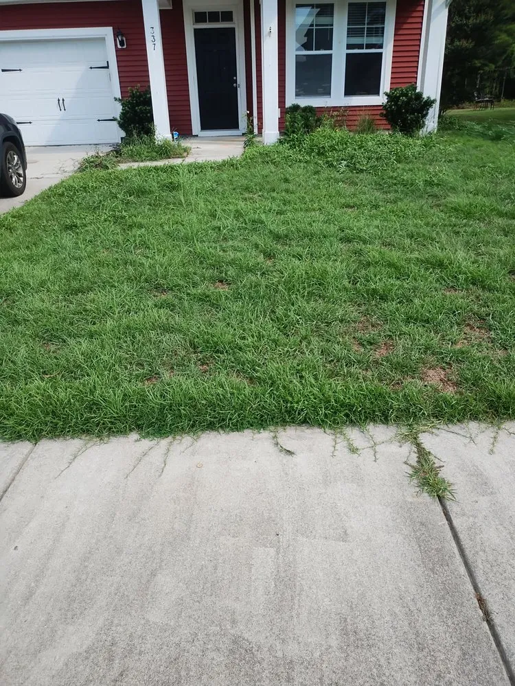 Top-rated outdoor landscaping with custom design across Summerville, SC - Ivan & Sons