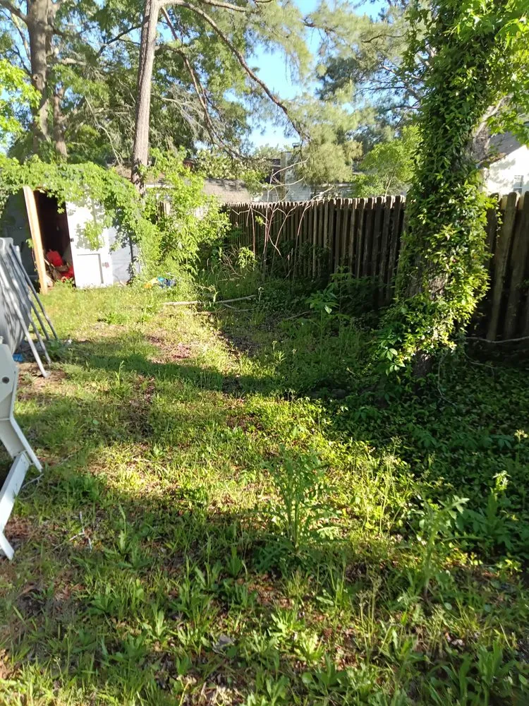 Expert landscape design experts serving Summerville, SC - Ivan & Sons