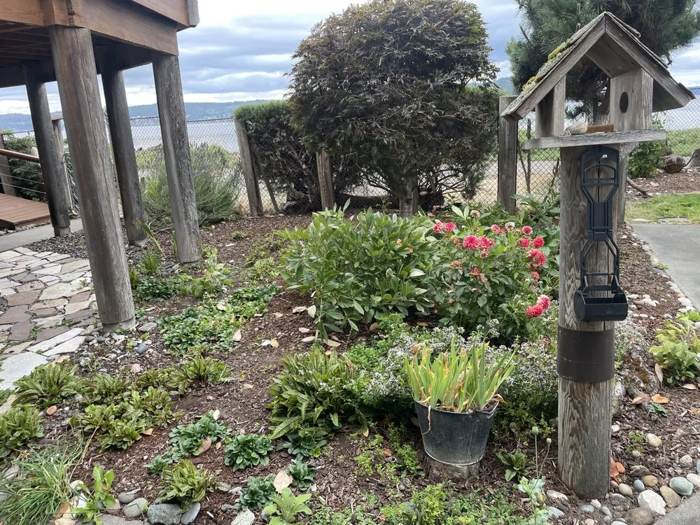 Top-rated yard maintenance for residential properties in Sequim, WA by Ivan Art Landscaping