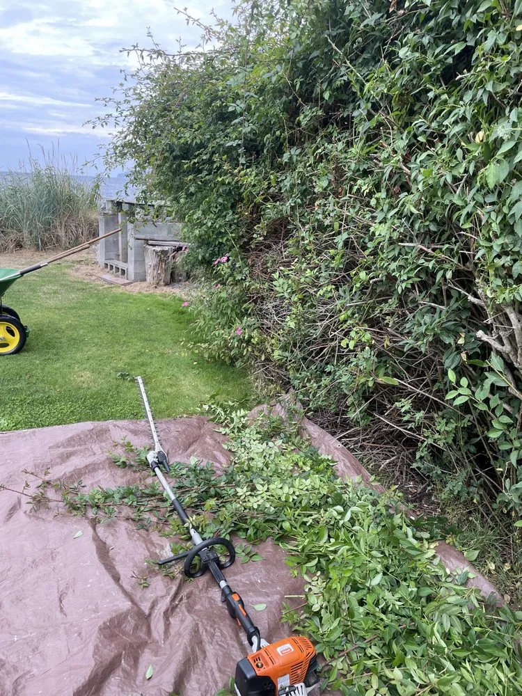 Affordable lawn care service for residential properties across Sequim, WA - Ivan Art Landscaping