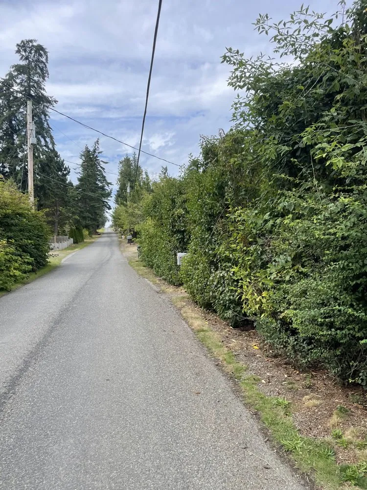 Reliable landscape design in Sequim, WA - Ivan Art Landscaping