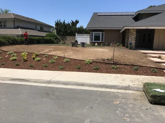 Ivan Cansino Landscaping Service Logo