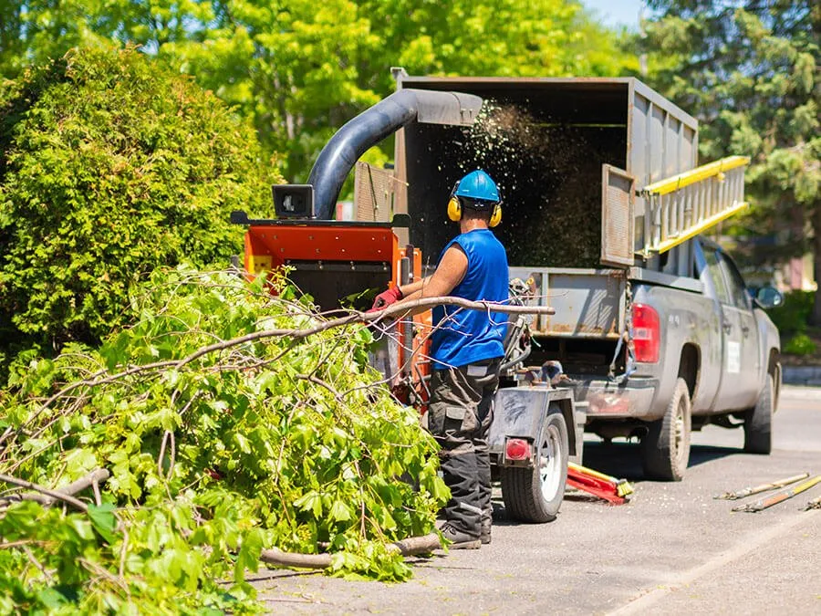 Expert landscape installation for year-round maintenance in McHenry, IL by Ivan Landscaping & Snow Removal