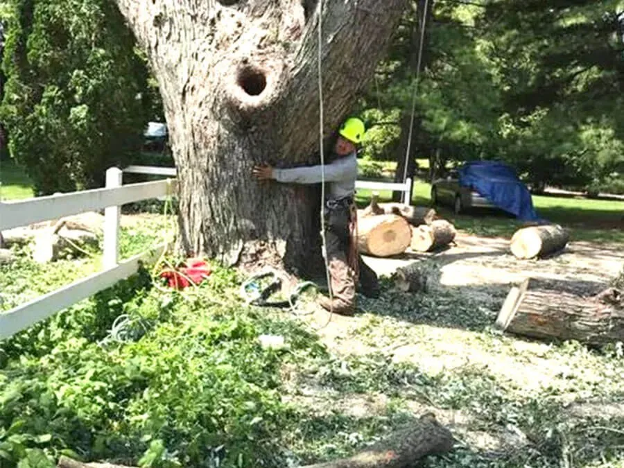 Expert yard cleanup service with custom design in McHenry, IL by Ivan Landscaping & Snow Removal