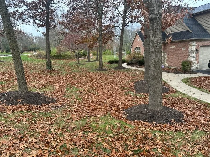 Top-rated yard maintenance for outdoor upgrades in McHenry, IL by Ivan Landscaping & Snow Removal