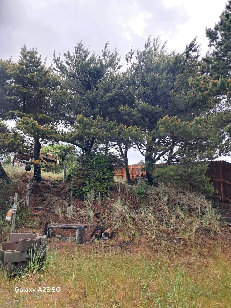 Expert yard maintenance in Shelton, WA - Ivan Landscaping