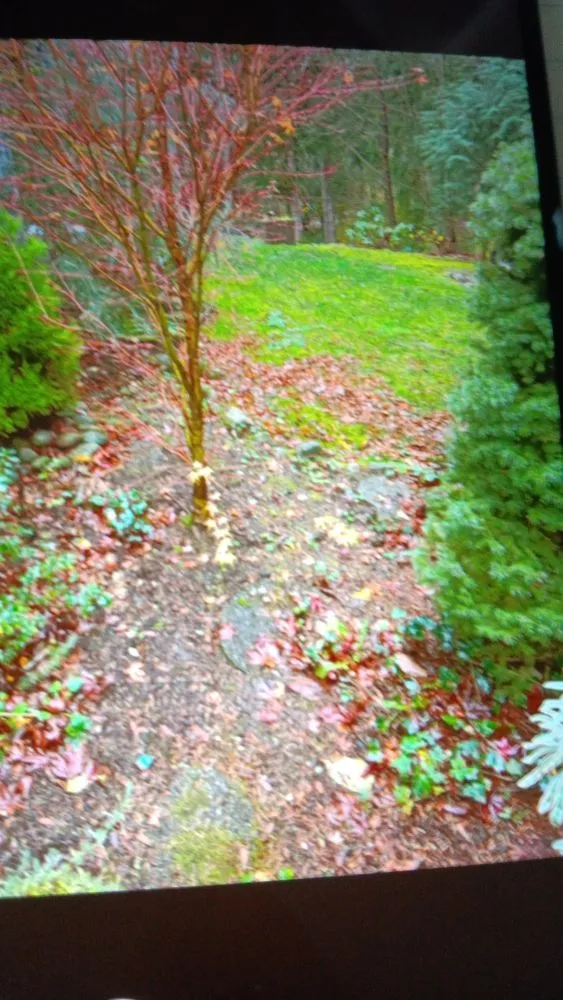 Affordable outdoor landscaping experts serving Shelton, WA - Ivan Landscaping