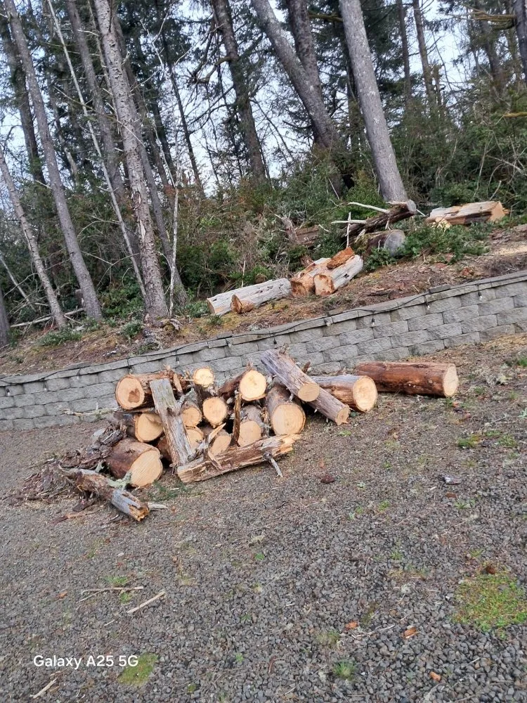 Affordable landscape installation for outdoor upgrades in Shelton, WA by Ivan Landscaping