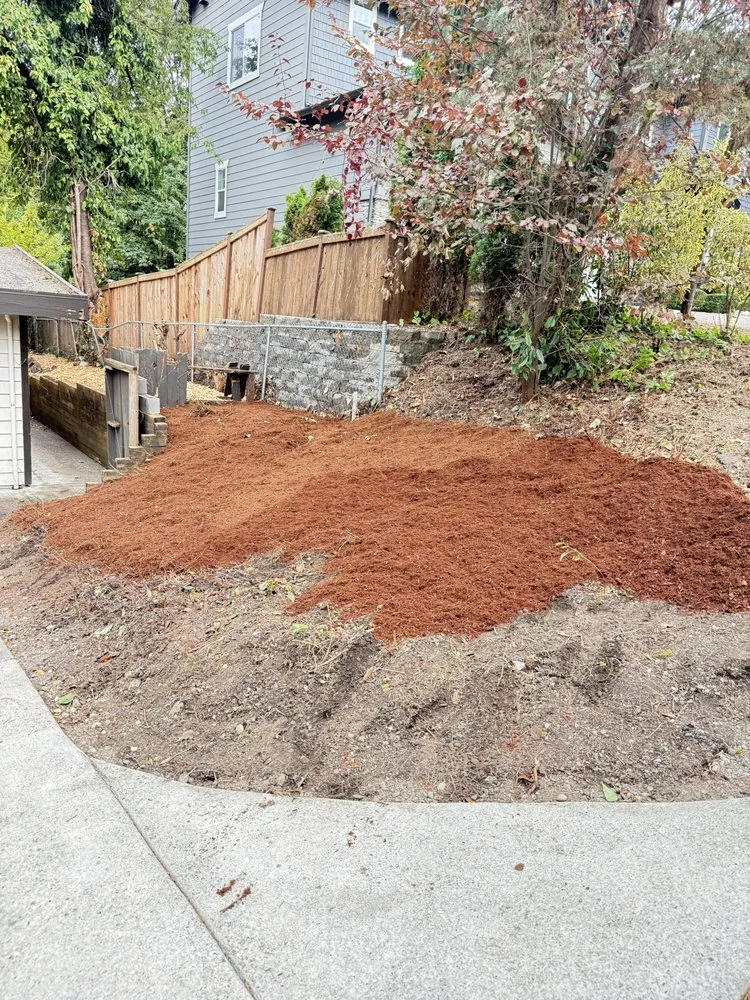 Trusted yard cleanup service in Tacoma, WA - Ivan