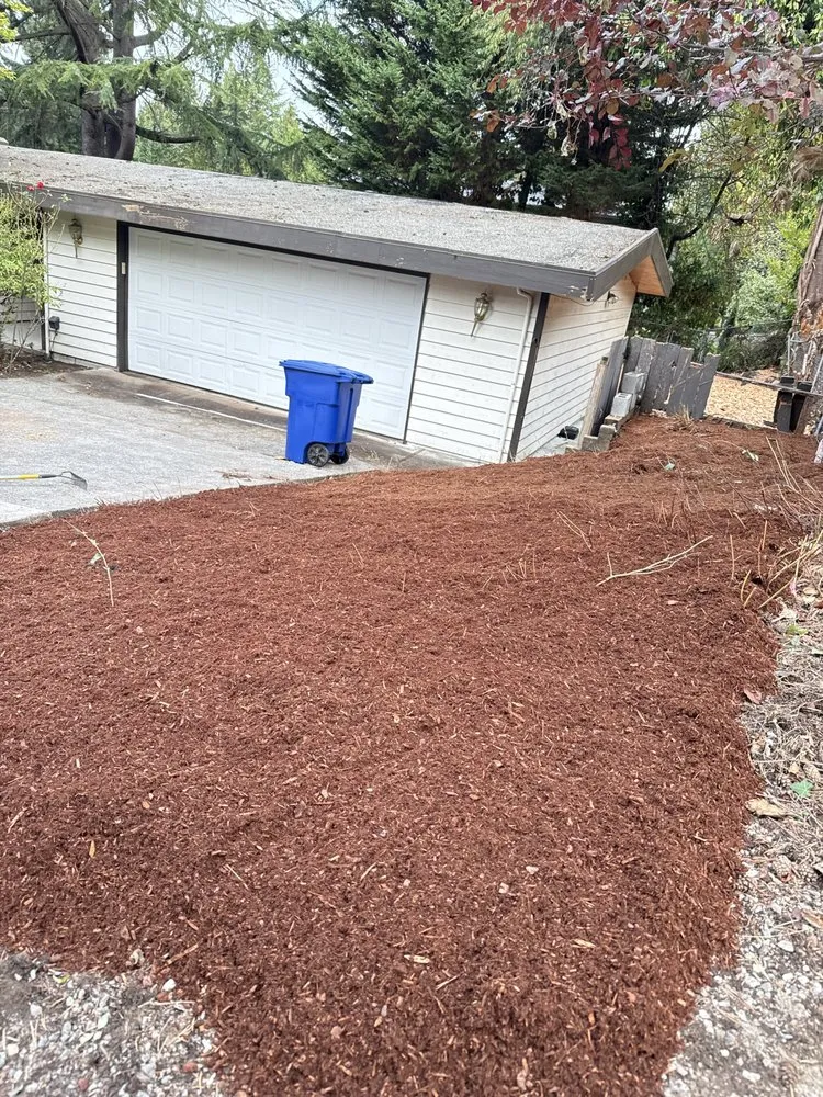 Trusted landscaping services in Tacoma, WA by Ivan