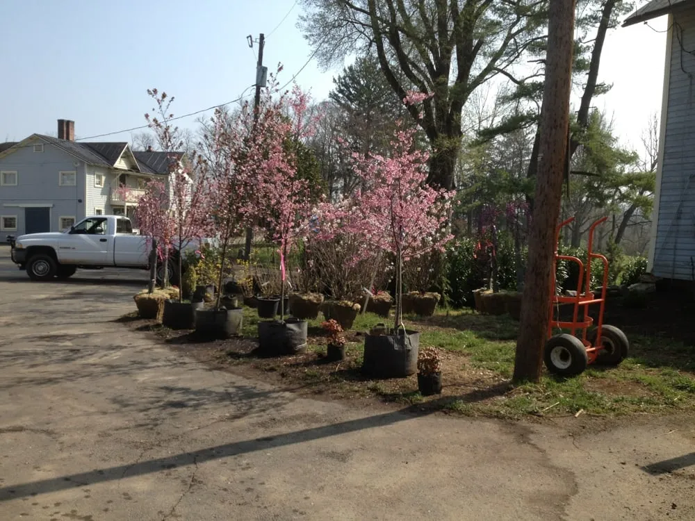 Expert lawn mowing service in Hamilton, VA - Ivandale Farms