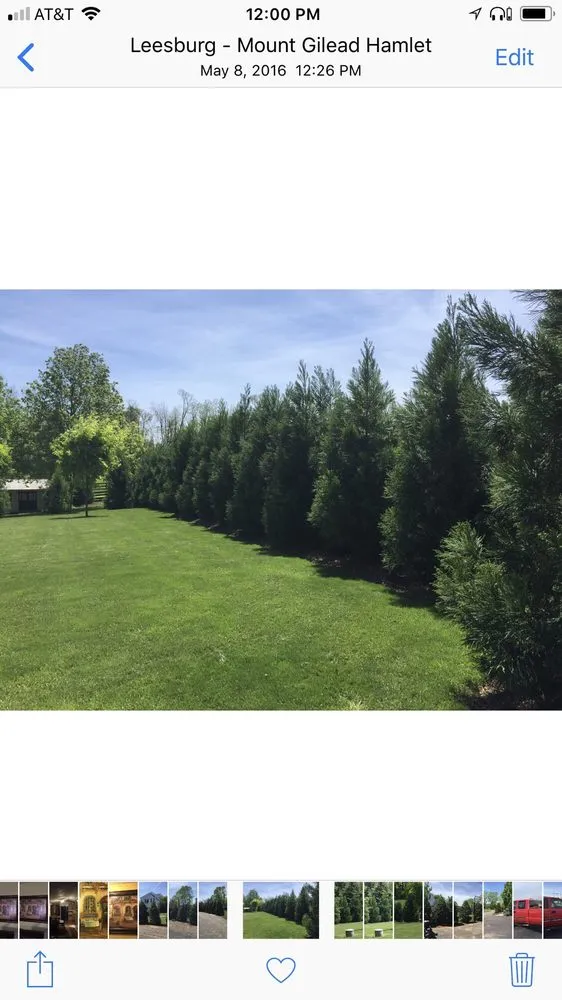 Top-rated yard maintenance experts serving Hamilton, VA - Ivandale Farms