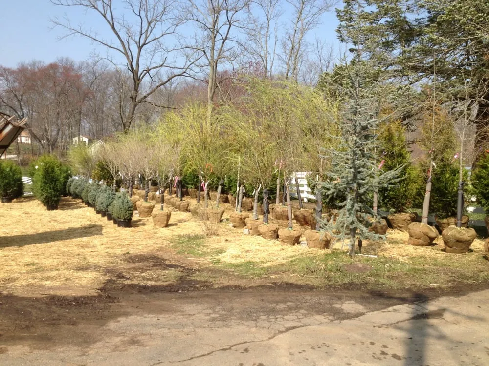 Custom yard cleanup service in Hamilton, VA - Ivandale Farms