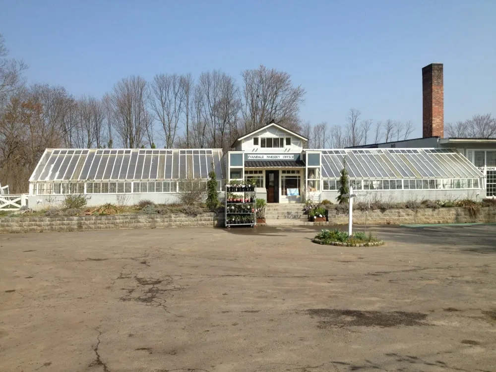 Top-rated yard cleanup service in Hamilton, VA by Ivandale Farms