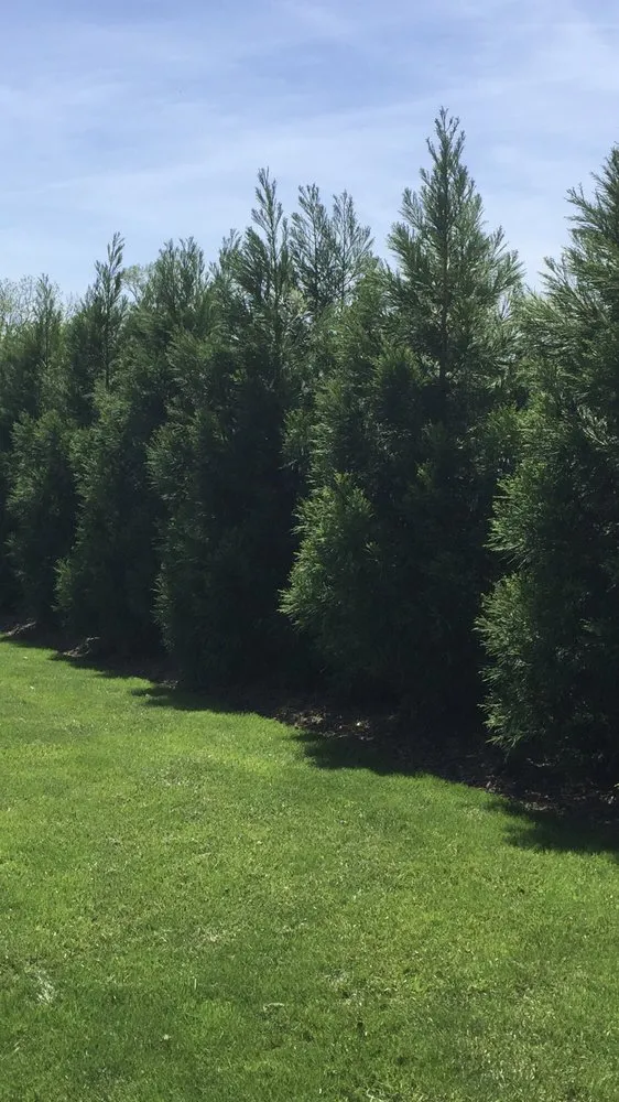 Affordable yard maintenance for homes in Hamilton, VA by Ivandale Farms