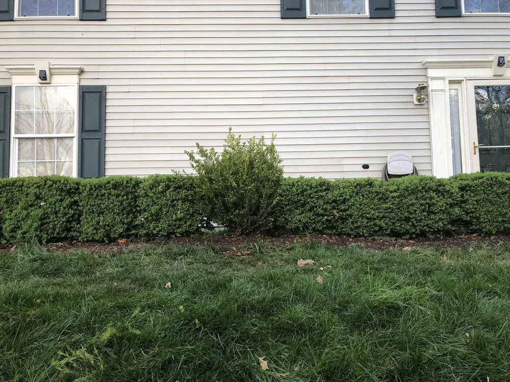 Expert outdoor landscaping for outdoor upgrades in Hamilton, VA by Ivandale Farms