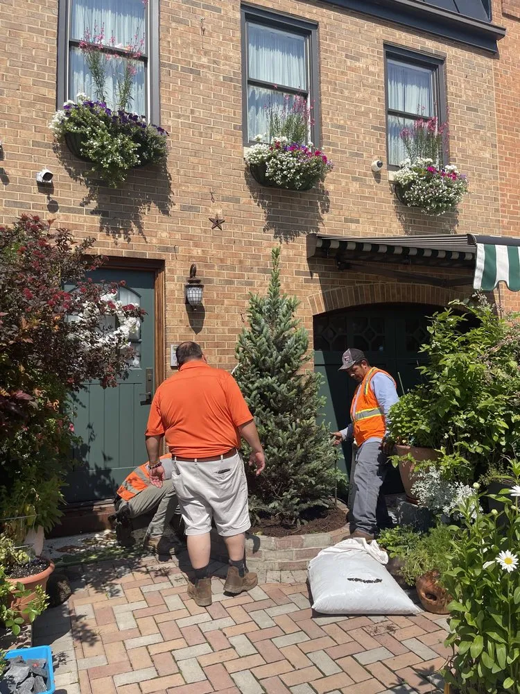 Reliable yard maintenance near you in Hamilton, VA by Ivandale Farms