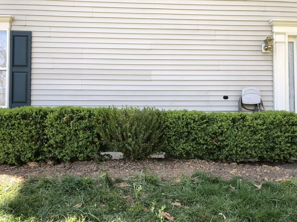 Reliable outdoor landscaping for homes in Hamilton, VA by Ivandale Farms