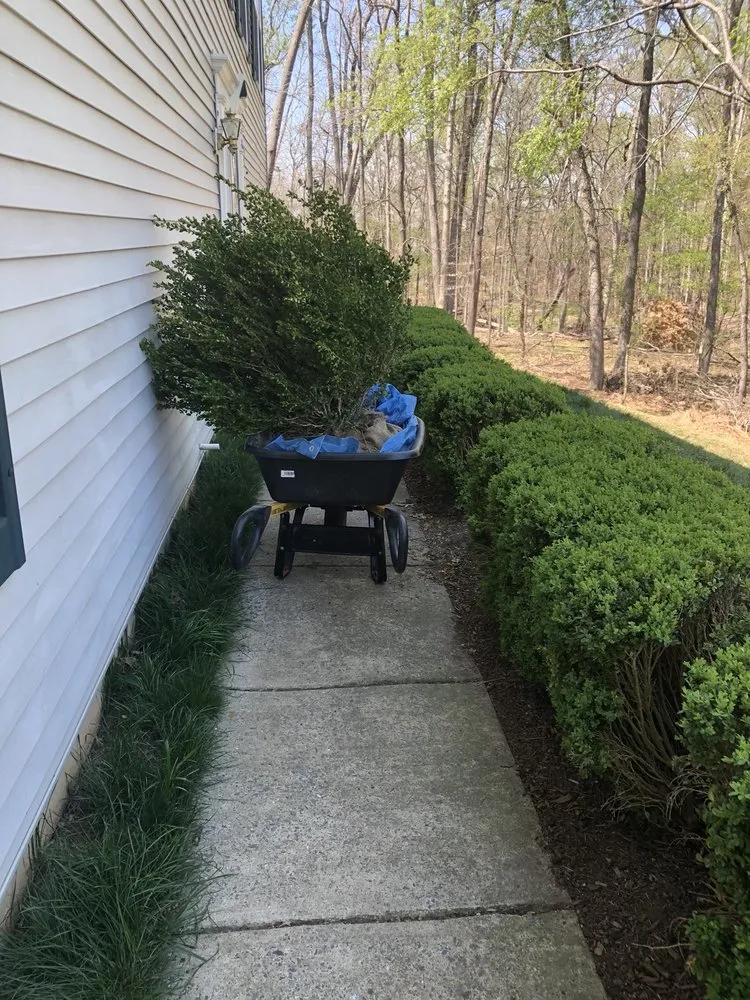 Expert lawn care service experts serving Hamilton, VA - Ivandale Farms