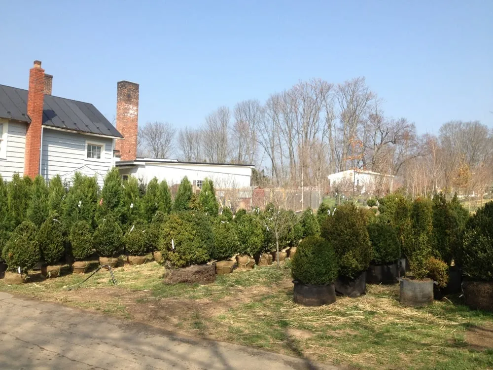 Professional lawn mowing service with custom design across Hamilton, VA - Ivandale Farms