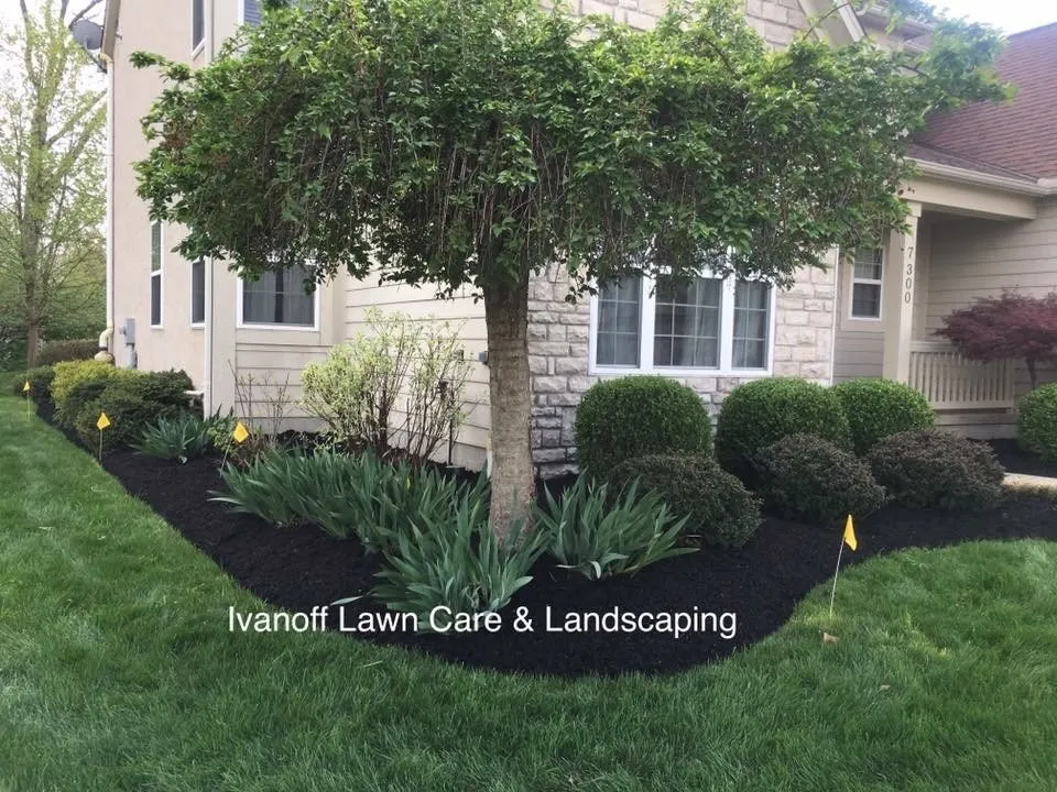 Trusted lawn care service in Lewis Center, OH by Ivanoff Lawn Care and Landscaping