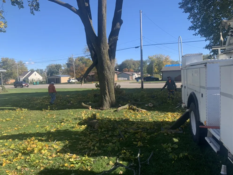 Reliable residential landscaping in LaSalle, IL by Ivan's and Jr's Landscaping & Tree Service