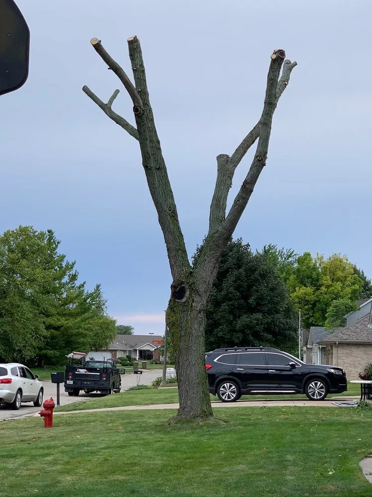 Expert residential landscaping with custom design in LaSalle, IL by Ivan's and Jr's Landscaping & Tree Service