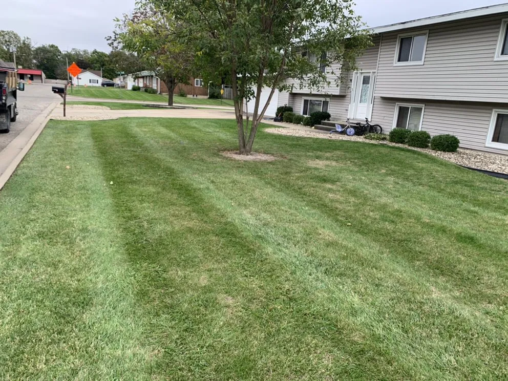 Custom yard cleanup service in LaSalle, IL by Ivan's and Jr's Landscaping & Tree Service