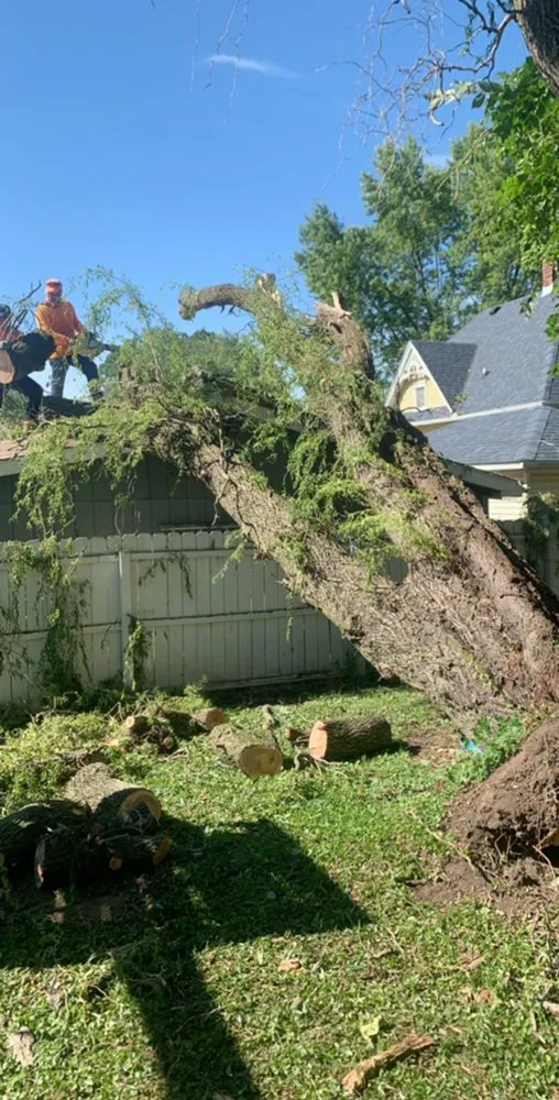 Affordable garden landscaping in LaSalle, IL by Ivan's and Jr's Landscaping & Tree Service