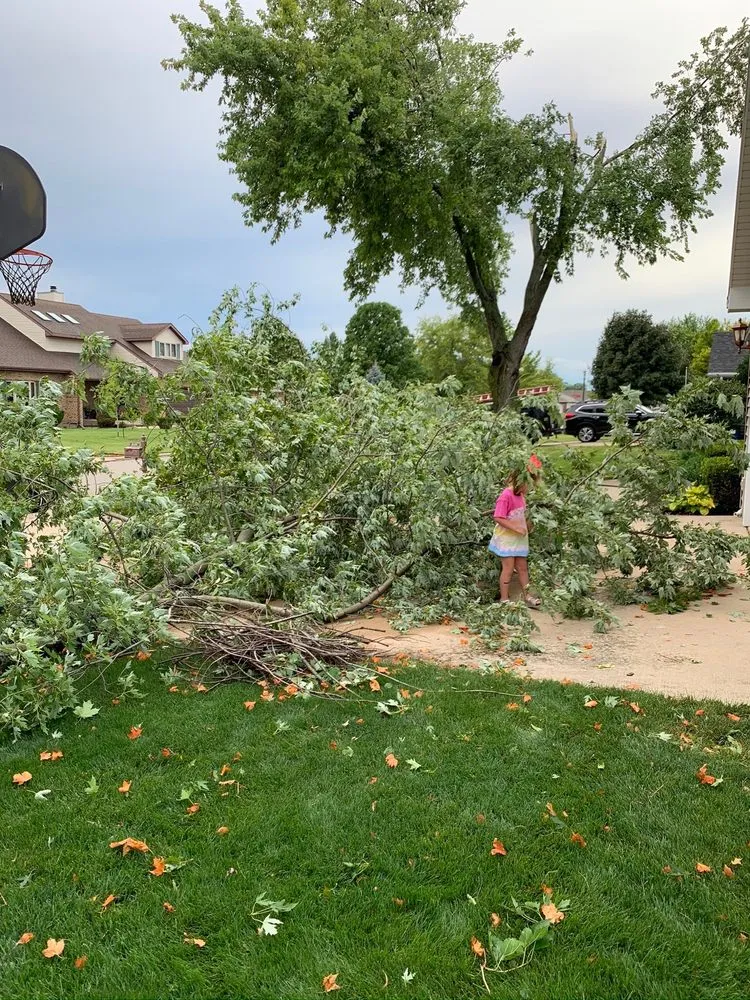 Expert outdoor landscaping in LaSalle, IL by Ivan's and Jr's Landscaping & Tree Service