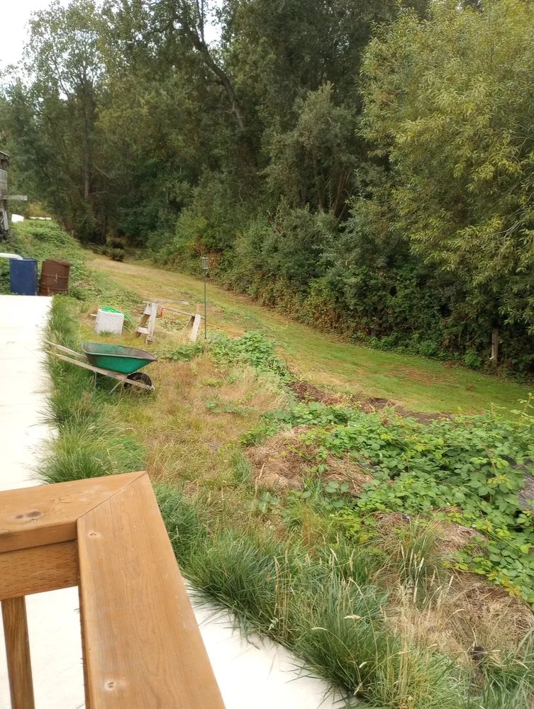 Trusted landscape design experts serving Snohomish, WA - Ivan's Landscape & Construction