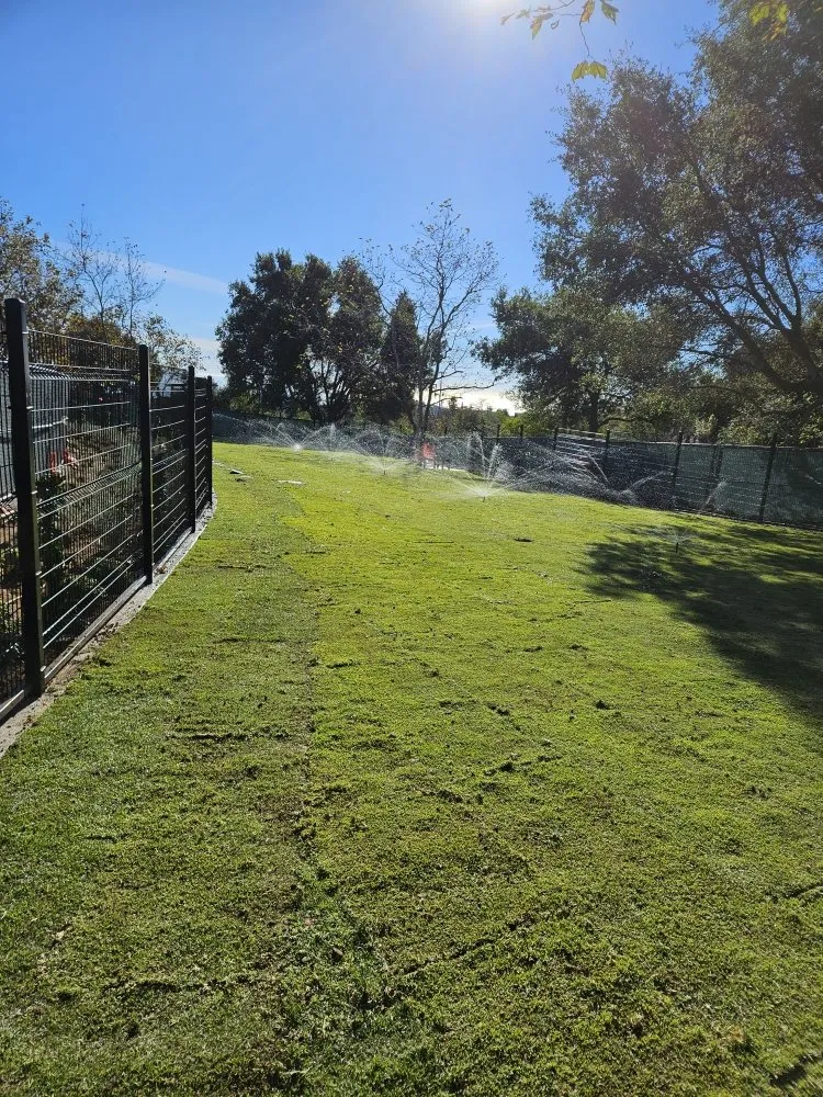 Affordable yard cleanup service for outdoor upgrades in Garden Grove, CA by Ivan's Landscaping