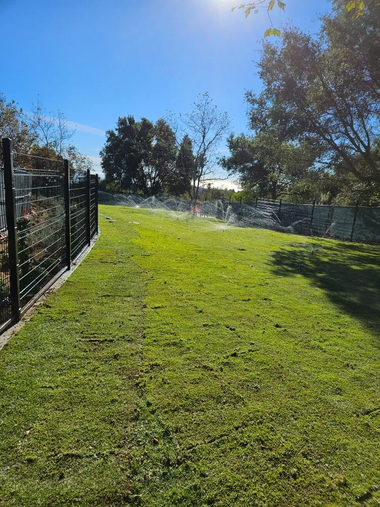 Affordable lawn care service in Garden Grove, CA by Ivan's Landscaping