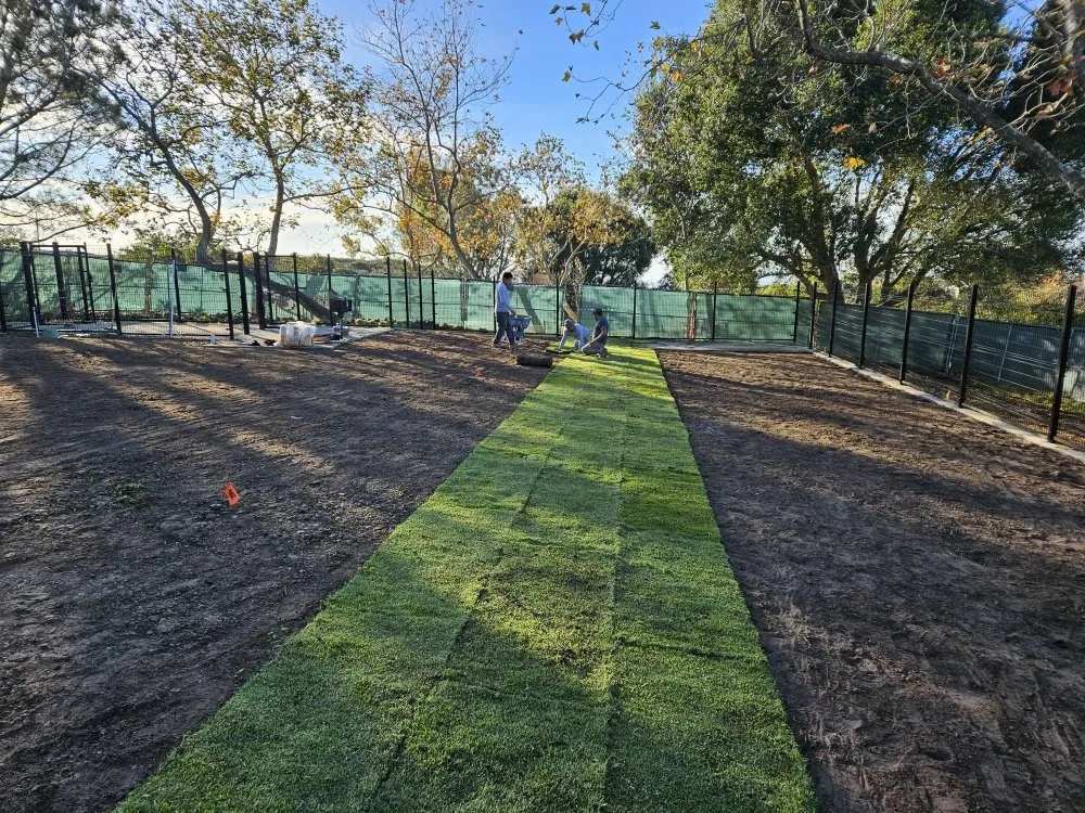 Expert garden landscaping for beautiful yards in Garden Grove, CA by Ivan's Landscaping