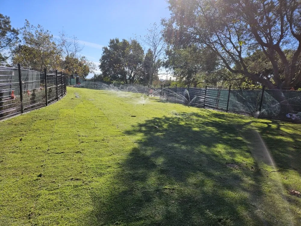 Expert residential landscaping in Garden Grove, CA - Ivan's Landscaping