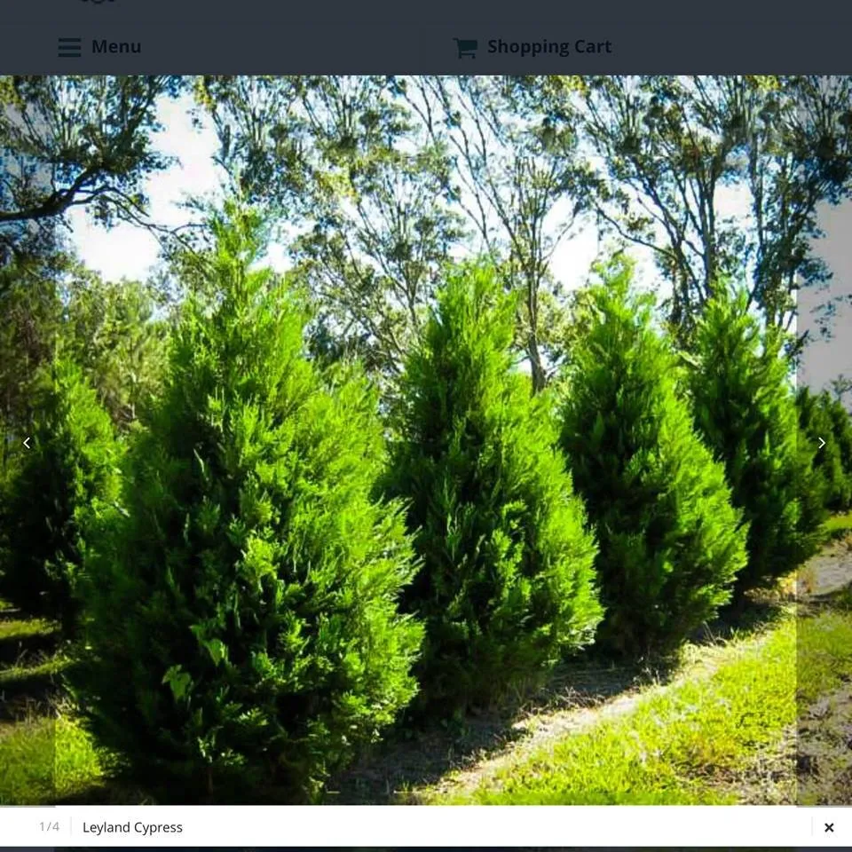 Expert outdoor landscaping in East Hampton, NY by Ivan's Lanscaping & Masory