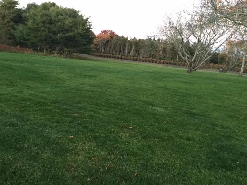 Professional landscaping services experts serving East Hampton, NY - Ivan's Lanscaping & Masory