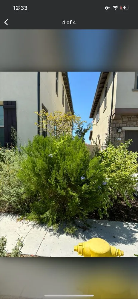 Trusted outdoor landscaping in Orange, CA by Ivan's Lawn Solution