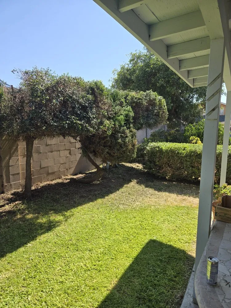 Trusted residential landscaping for year-round maintenance in Orange, CA by Ivan's Lawn Solution