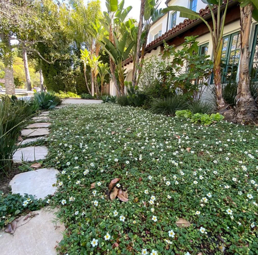 Local landscape installation for outdoor upgrades across Orange, CA - Ivan's Lawn Solution