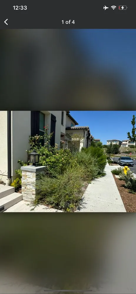 Top-rated landscaping services experts serving Orange, CA - Ivan's Lawn Solution