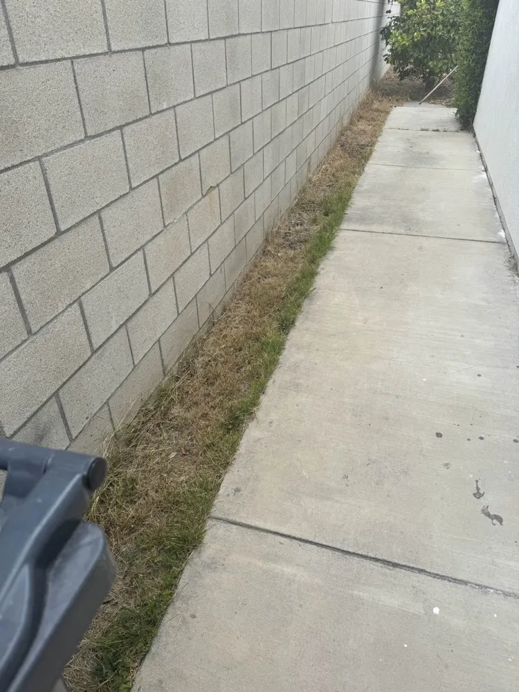 Expert outdoor landscaping experts serving Orange, CA - Ivan's Lawn Solution