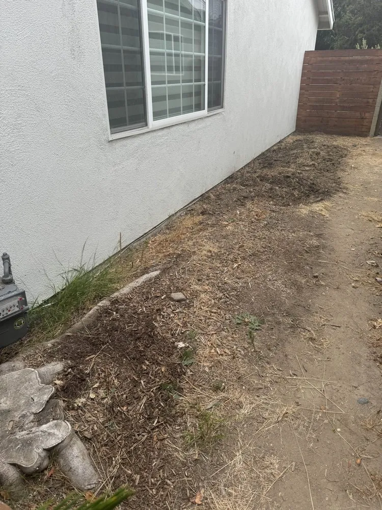 Reliable landscape design for outdoor upgrades in Orange, CA by Ivan's Lawn Solution